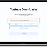 Latest YouTube Video Download Online for Free