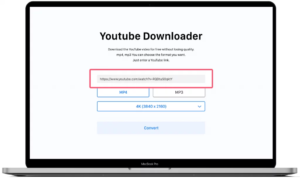 Latest YouTube Video Download Online for Free