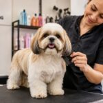 Professional pet grooming